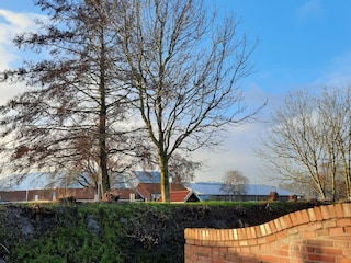 Blick auf Terrasse