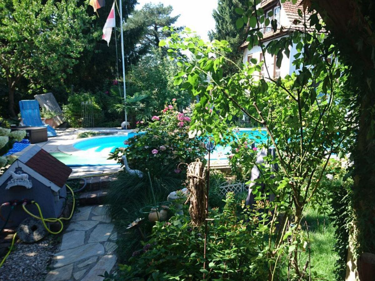 Garden with pool