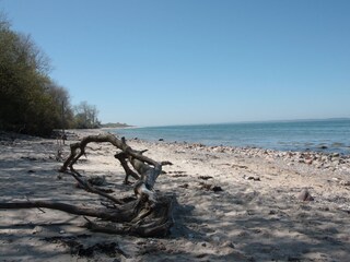 Jellenbeker ,,Hausstand'' im Herbst