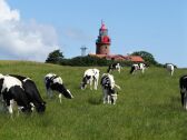 Casa de campo Kägsdorf Grabación al aire libre 1