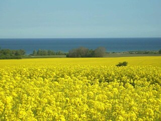 Type de propriété : Chalet Kägsdorf Enregistrement extérieur 3