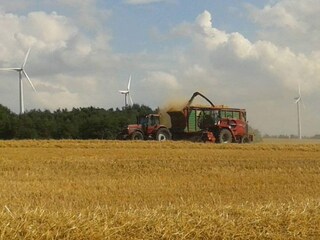 Casa de campo Kägsdorf Grabación al aire libre 11