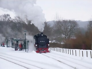 Maison de vacances Baabe Environnement 18