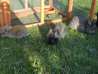 Vakantiehuisje Kägsdorf Buitenaudio-opname 7