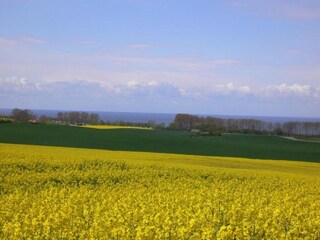 Casale Kägsdorf Ambiente 35