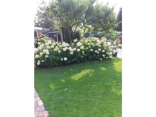 Vakantiehuis Schoorl Omgeving 7