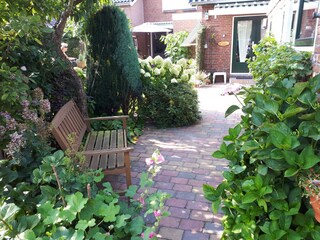 Vakantiehuis Schoorl Omgeving 8