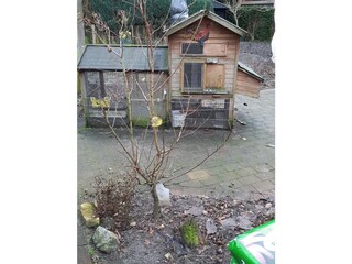Vakantiehuis Schoorl Omgeving 12