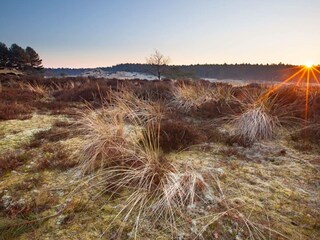 Vakantiehuis Schoorl  24
