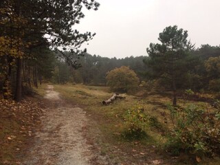 Vakantiehuis Schoorl  26