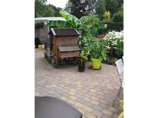 Vakantiehuis Schoorl Omgeving 4
