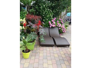 Vakantiehuis Schoorl Omgeving 5