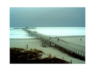 Seebrücke Prerow Feb. 2026 Ostsee ist zugefroren