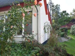 Ferienhaus Wittenbeck Außenaufnahme 7