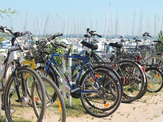 Vakantiehuis Wittenbeck Omgeving 37