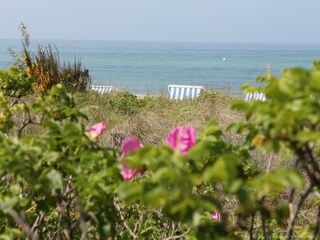 Vakantiehuis Wittenbeck Omgeving 38