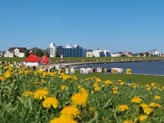 Grimmershörnbucht