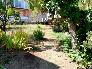 View into the garden