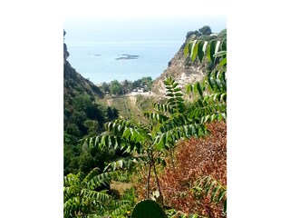 Casa per le vacanze Tropea Ambiente 20