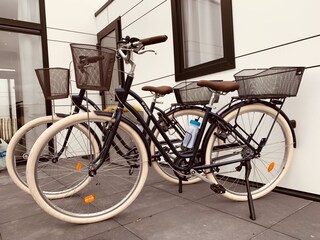 Casa per le vacanze Breskens Caratteristiche 18