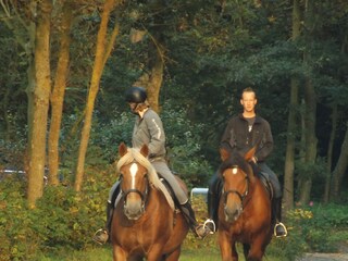 Ferienwohnung Zoutelande Umgebung 16