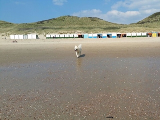 Casa per le vacanze Zoutelande Ambiente 18