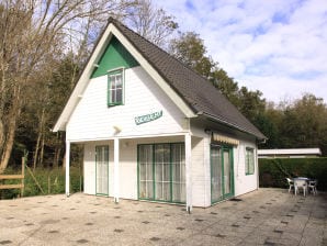 Vakantiehuis Toevlucht - Zoutelande - image1