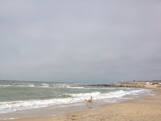 Appartamento per vacanze Zoutelande Ambiente 20