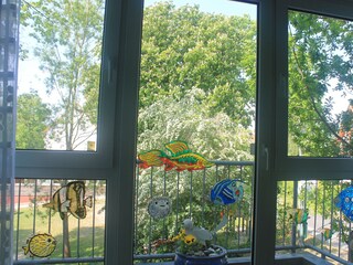 Holiday apartment Sassnitz Outdoor Recording 11