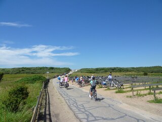 Appartamento per vacanze Domburg Ambiente 18