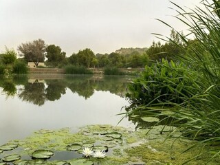 Holiday house Rojales Environment 28