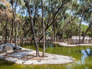 Vakantiehuis Rojales Omgeving 29