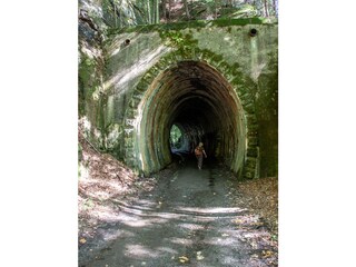 Alter Eisenbahntunnel im Schwarzbachtal