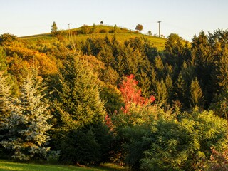 Hankehübel Goßdorf