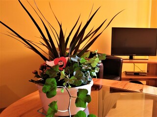 Holiday apartment Waren (Müritz) Living Room 12