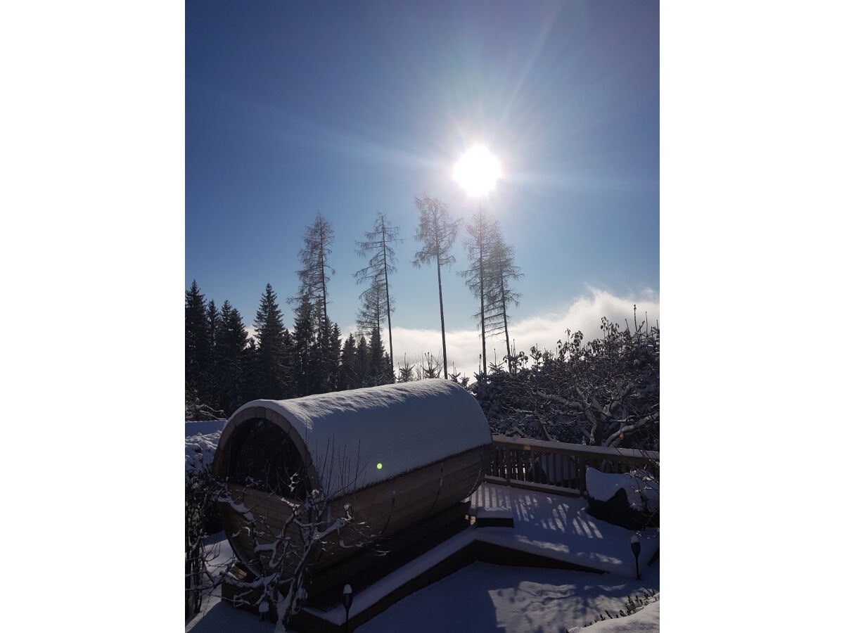 Sauna im Winter