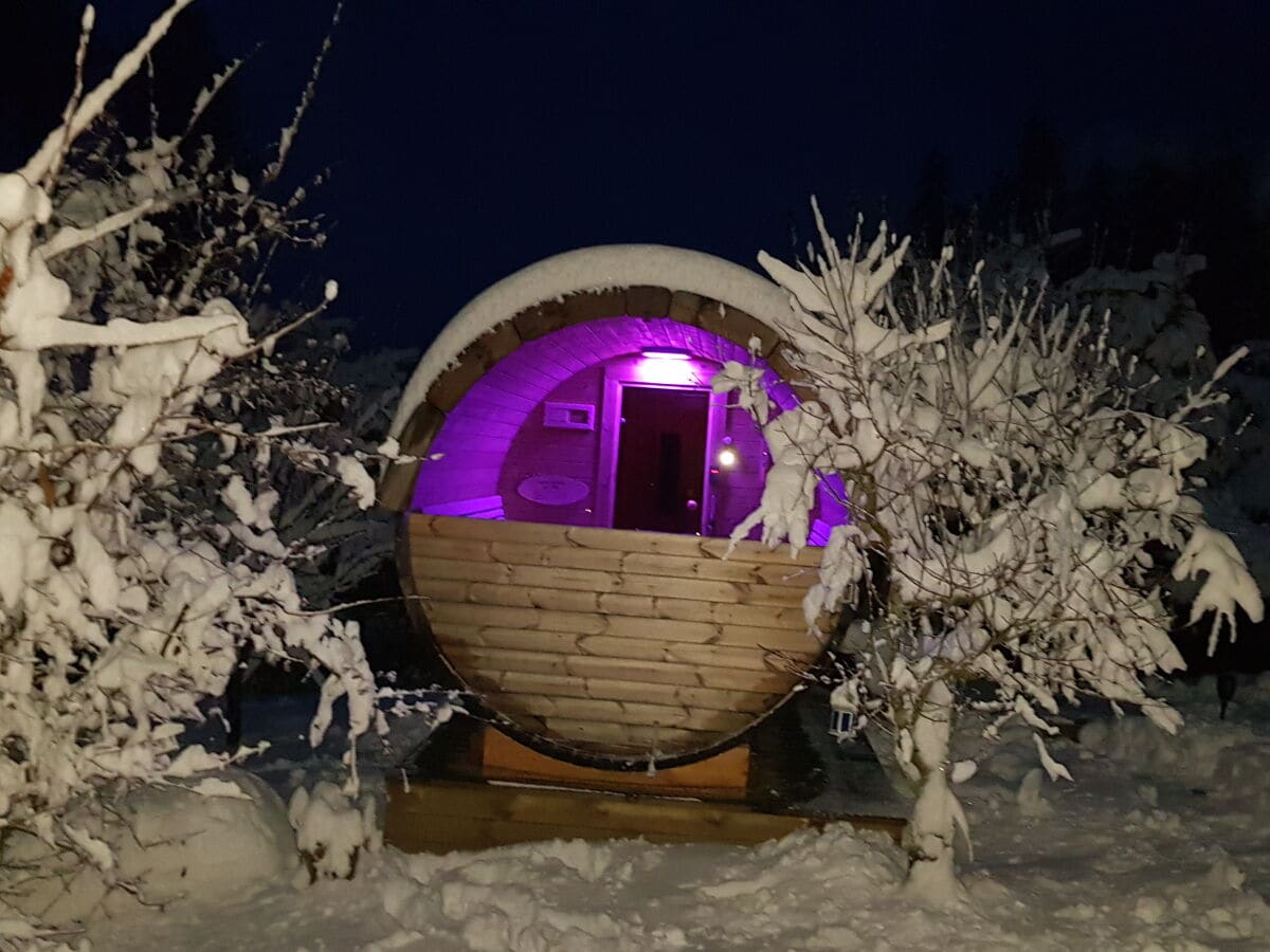 Panoramic sauna with a winter mood