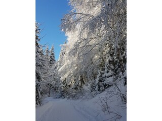 Bungalow Wolfsberg Ambiente 36