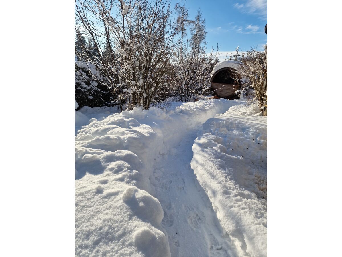 Panoramasauna im Garten. Ganzjährig