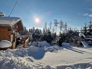 Winter wonderland in the garden
