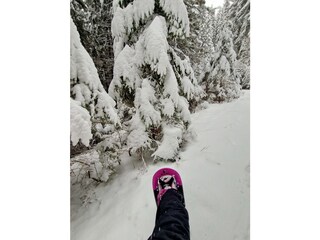 Snow-shoeing from the front door