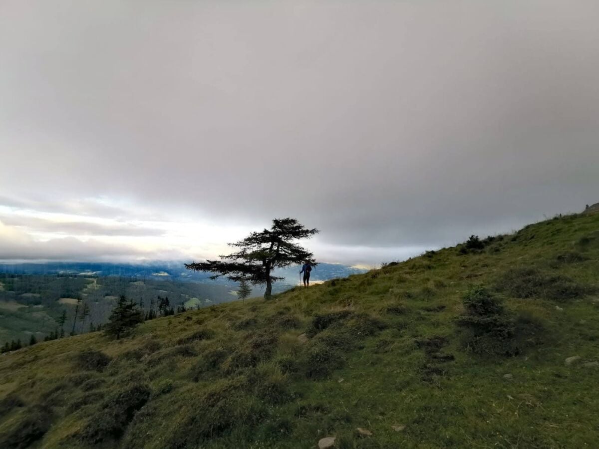 Wandern auf der Saualpe