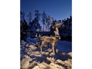 Bungalow Wolfsberg Registrazione all'aperto 16