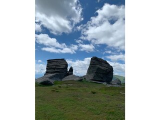 Bungalow Wolfsberg Ambiente 40