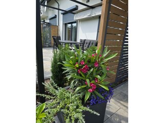 Die Terrasse