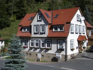 Ferienhaus FH Zum Kühlen Grunde - Schleusegrund - image1