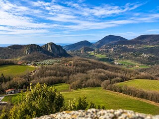 Landscape of the Euganean Hills.