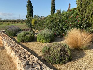 Tenuta Campos Registrazione all'aperto 8