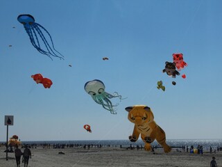 Casa per le vacanze Callantsoog Ambiente 23