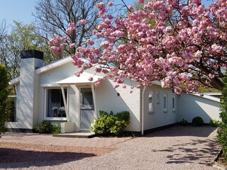 Bungalow Oostkapelle Registrazione all'aperto 2